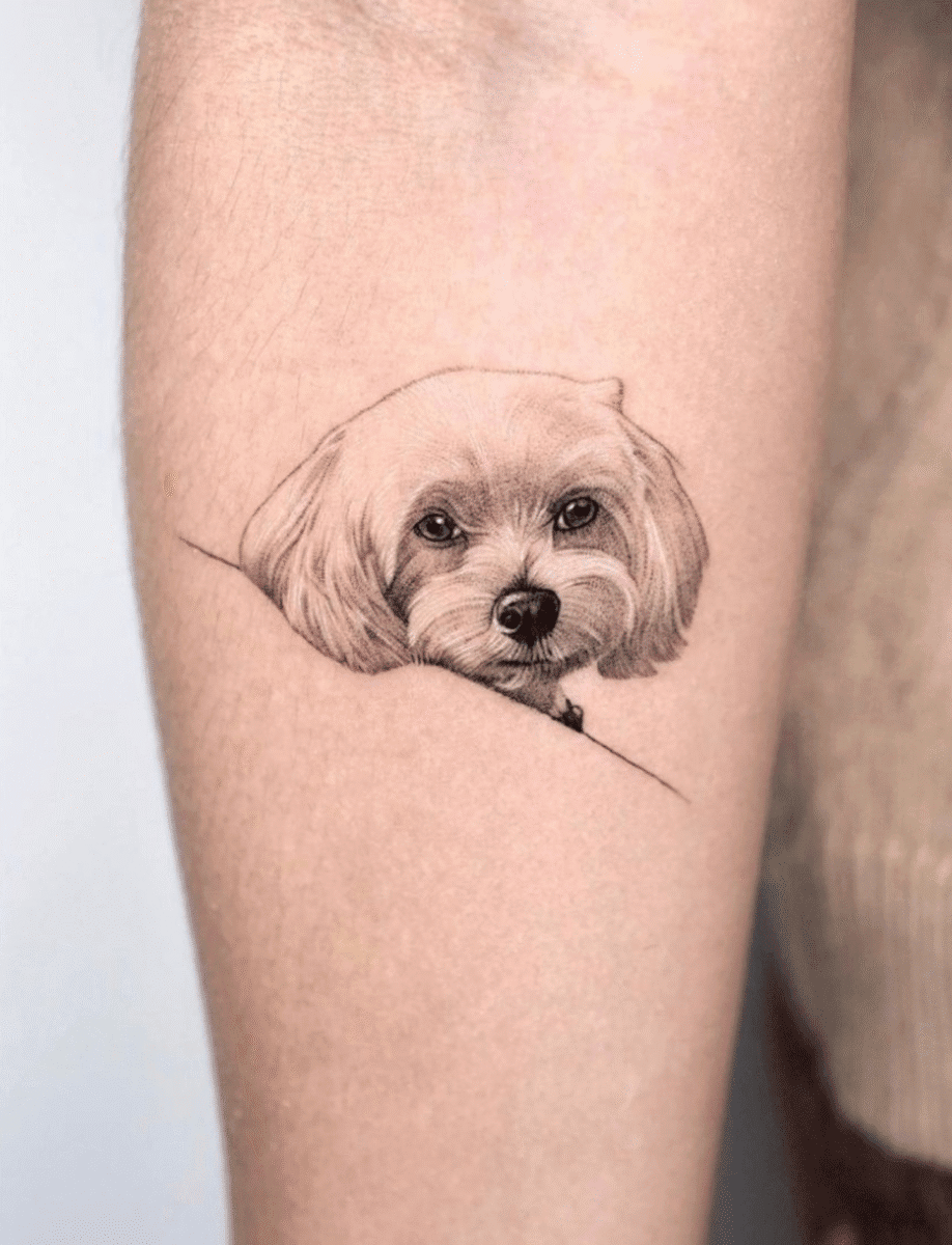 Tatuagens Femininas no Braço