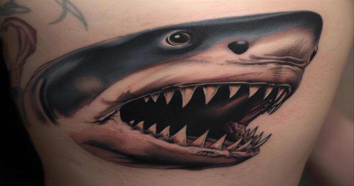 Significado da Tatuagem de Tubarão
