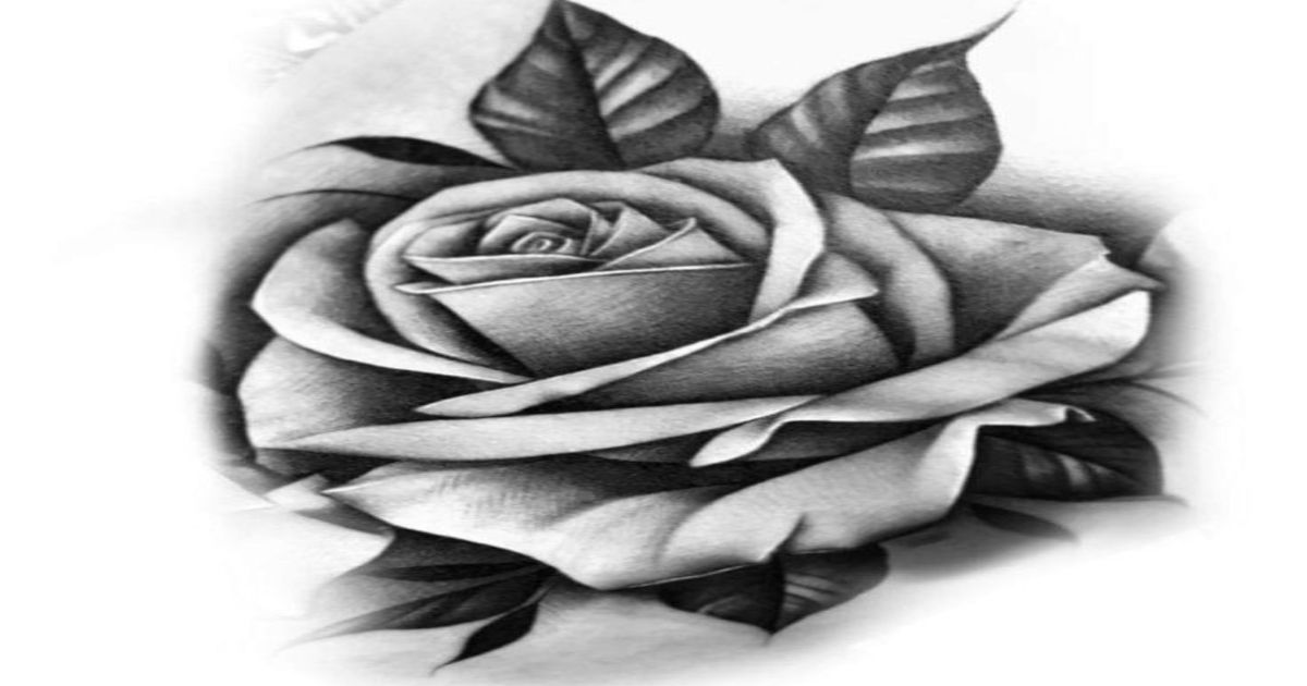 tatuagem de rosa sombreada